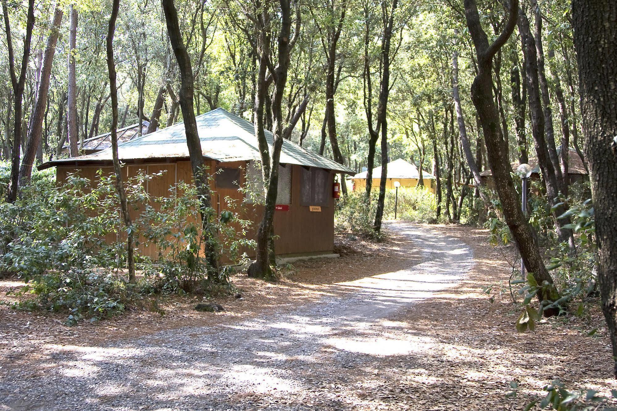 Villaggio Club Cecina Marina di Cecina Exteriér fotografie